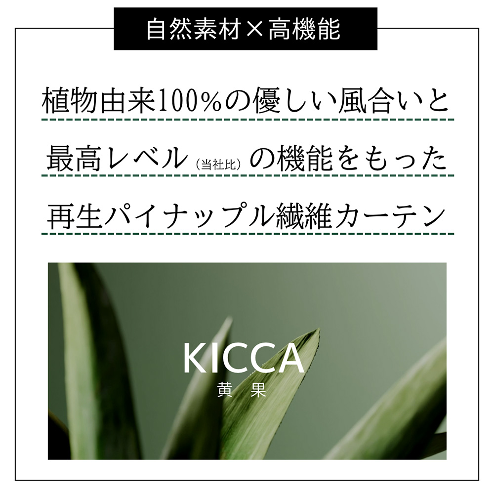 高機能　12