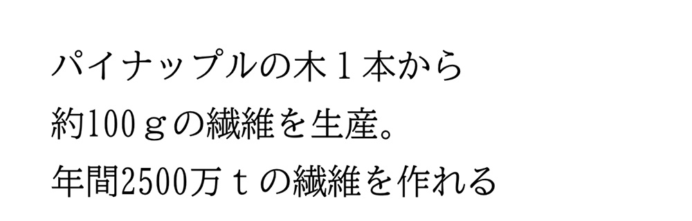 パイナップル文　18