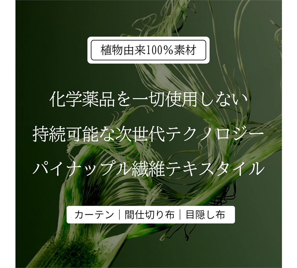 パイナップル　5
