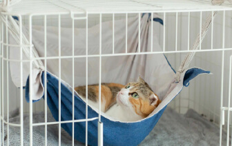 ねこハンモック（10WAYクロス）